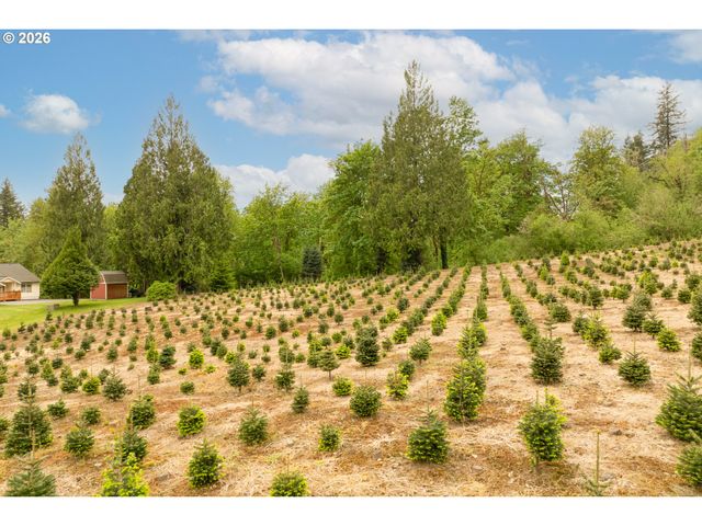 191 BLAINE Rd, Woodland, WA 98674