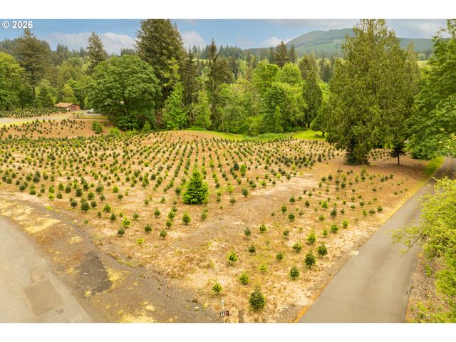 191 BLAINE Rd, Woodland, WA 98674