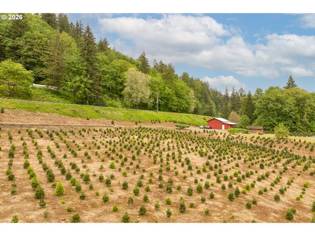 191 BLAINE Rd, Woodland, WA 98674