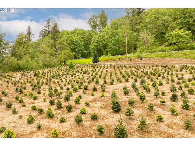 191 BLAINE Rd, Woodland, WA 98674