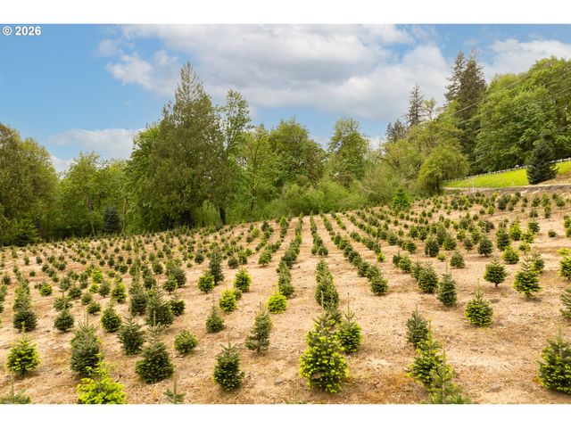 191 BLAINE Rd, Woodland, WA 98674