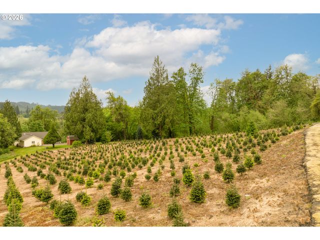 191 BLAINE Rd, Woodland, WA 98674