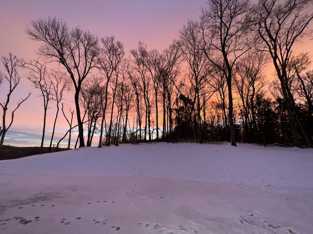 1555 Heller Rdg, Spring Hill, TN 37174