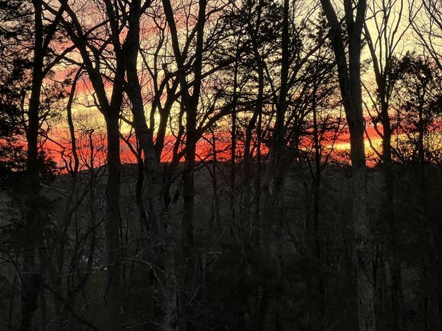 1555 Heller Rdg, Spring Hill, TN 37174