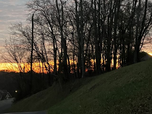 1555 Heller Rdg, Spring Hill, TN 37174