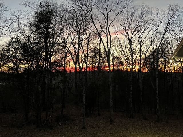 1555 Heller Rdg, Spring Hill, TN 37174