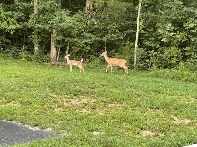 1555 Heller Rdg, Spring Hill, TN 37174