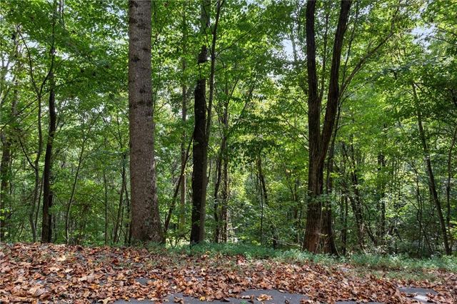0 Sal Mountain Way, Sautee Nacoochee, GA 30571