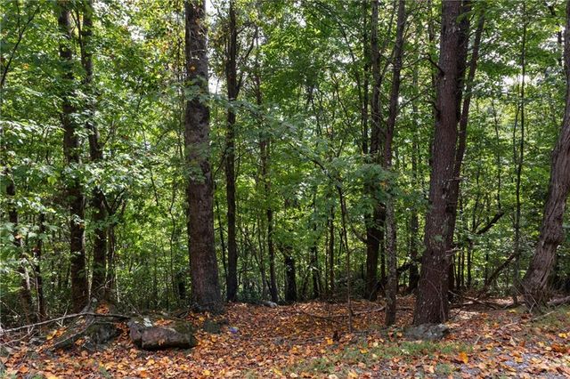 0 Sal Mountain Way, Sautee Nacoochee, GA 30571