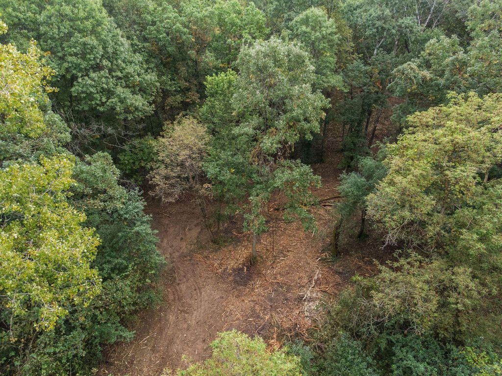 2555 Trading Post Trail S, Afton, MN 55001 — photo 4