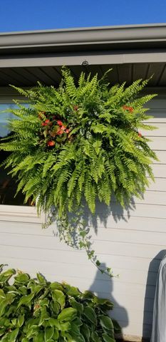 1699 Lincoln Street, Hobart, IN 46342