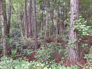 0 E ALACHUA Street, Palatka, FL 32177