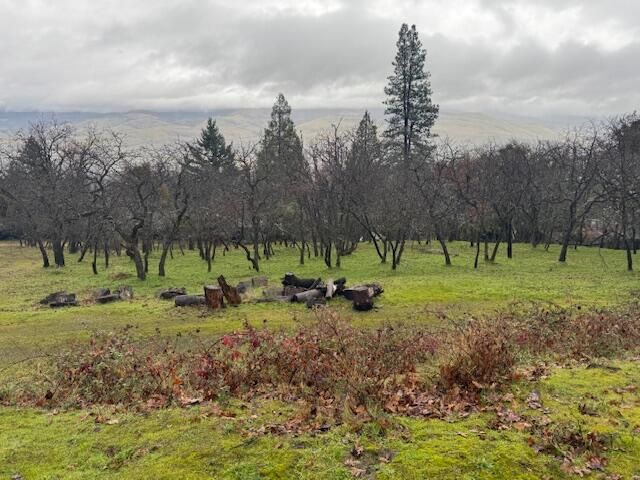 1751 Dragon Fly Lane, Ashland, OR 97520