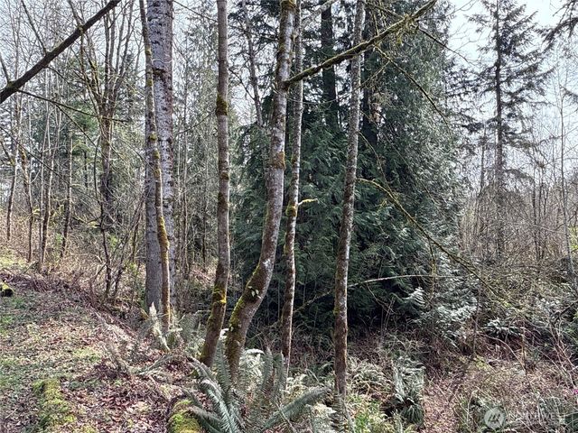 21 XXX SE 226th Street, Maple Valley, WA 98038