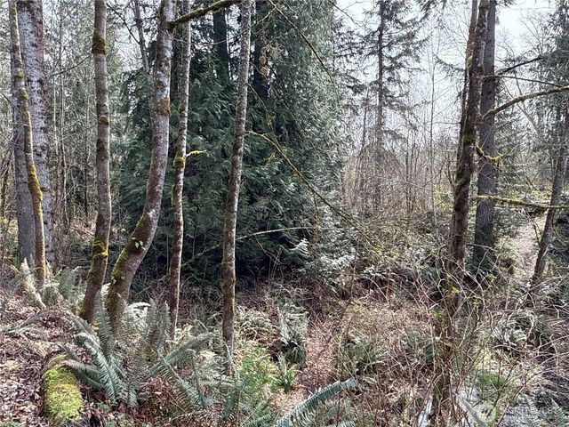 21 XXX SE 226th Street, Maple Valley, WA 98038