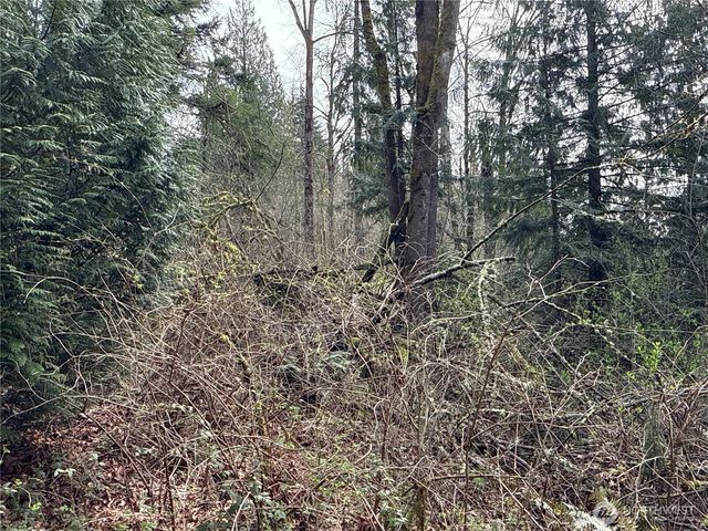 21 XXX SE 226th Street, Maple Valley, WA 98038