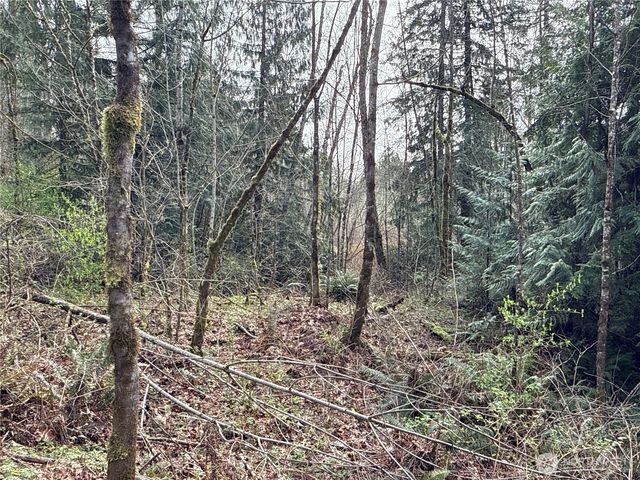 21 XXX SE 226th Street, Maple Valley, WA 98038