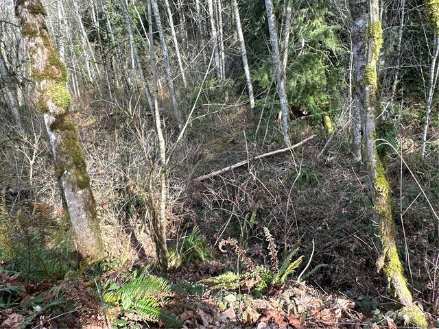 21 XXX SE 226th Street, Maple Valley, WA 98038