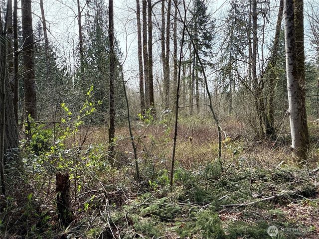 21 XXX SE 226th Street, Maple Valley, WA 98038
