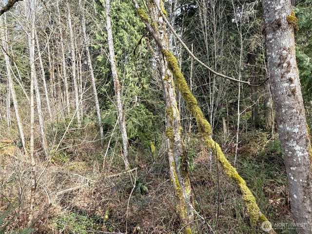 21 XXX SE 226th Street, Maple Valley, WA 98038