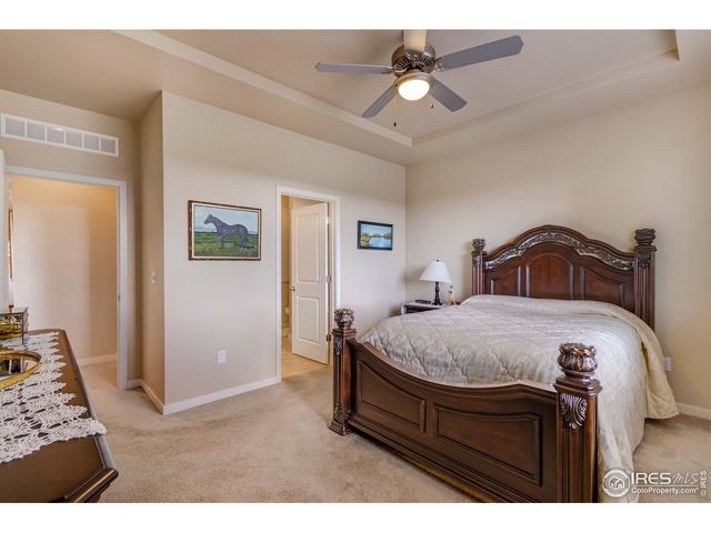 7213 Horsechestnut St, Wellington, CO 80549