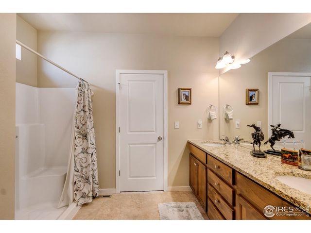 7213 Horsechestnut St, Wellington, CO 80549