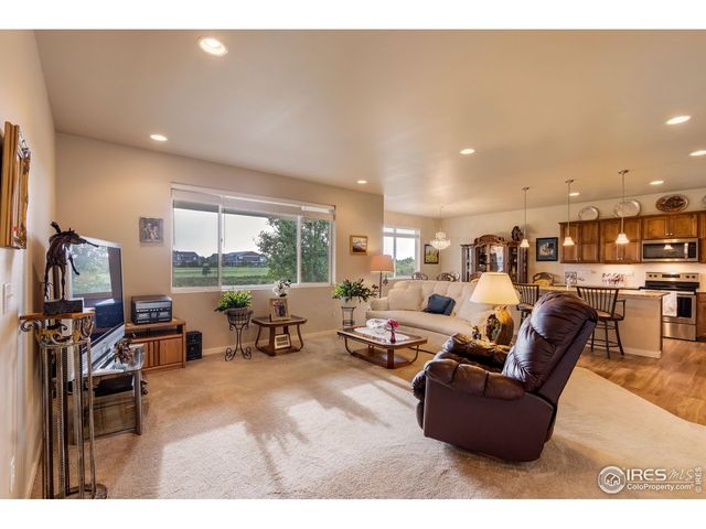 7213 Horsechestnut St, Wellington, CO 80549