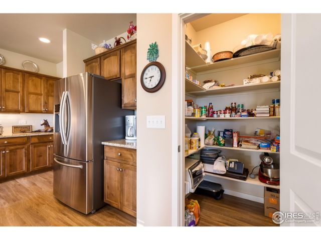 7213 Horsechestnut St, Wellington, CO 80549