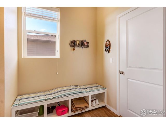 7213 Horsechestnut St, Wellington, CO 80549