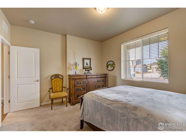 7213 Horsechestnut St, Wellington, CO 80549