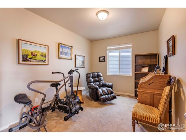 7213 Horsechestnut St, Wellington, CO 80549