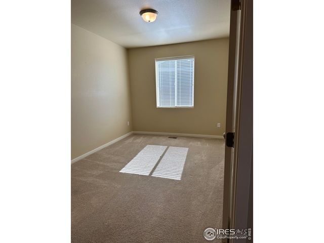 7213 Horsechestnut St, Wellington, CO 80549