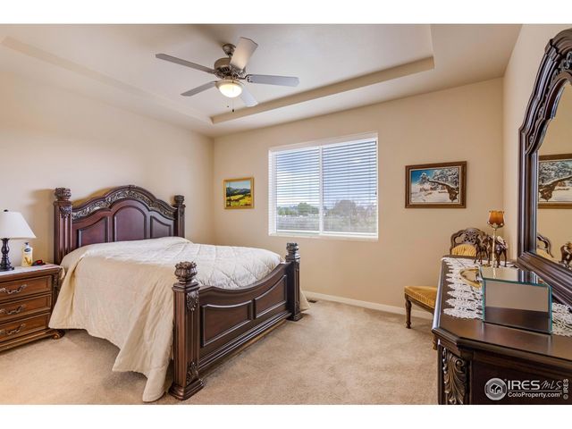 7213 Horsechestnut St, Wellington, CO 80549