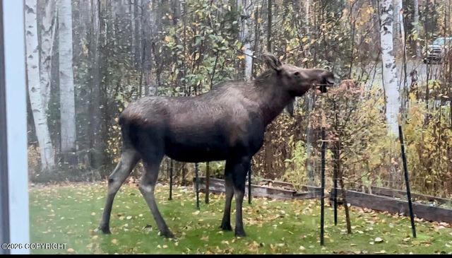 4966 W Slipstream Drive, Wasilla, AK 99623