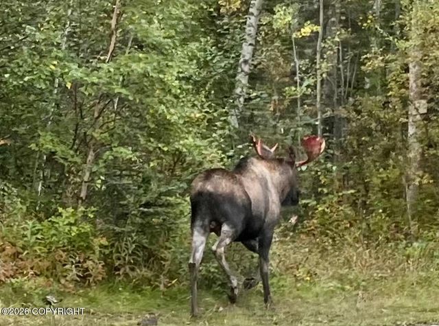 4966 W Slipstream Drive, Wasilla, AK 99623