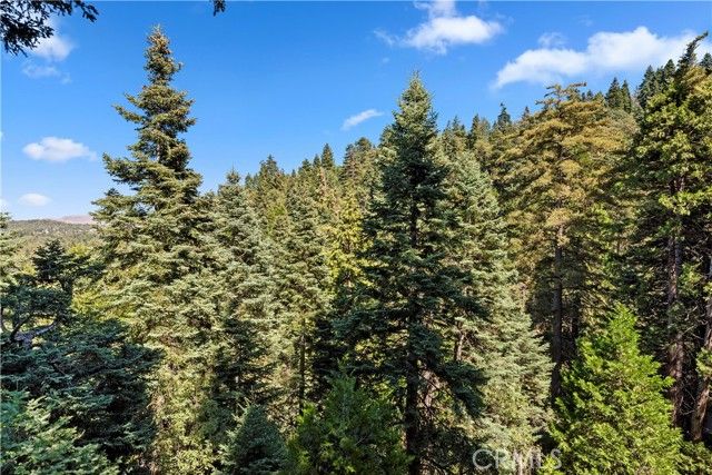 615 Wellesley, Lake Arrowhead, CA 92352