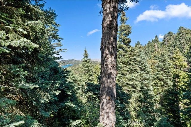 615 Wellesley, Lake Arrowhead, CA 92352