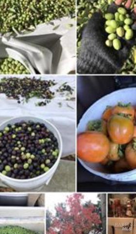 2703 Brush Creek Rd, Santa Rosa, CA 95404