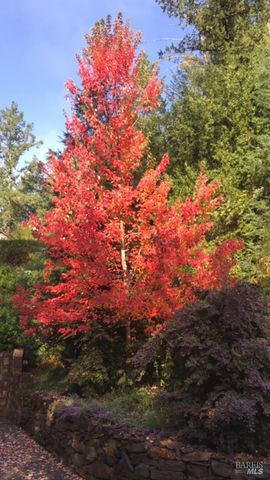 2703 Brush Creek Rd, Santa Rosa, CA 95404