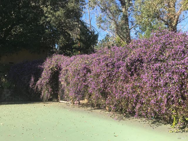 2703 Brush Creek Rd, Santa Rosa, CA 95404