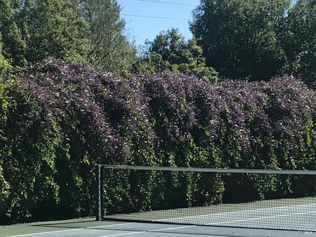 2703 Brush Creek Rd, Santa Rosa, CA 95404