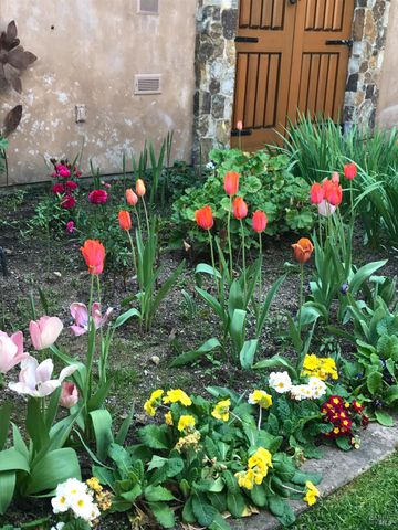 2703 Brush Creek Rd, Santa Rosa, CA 95404