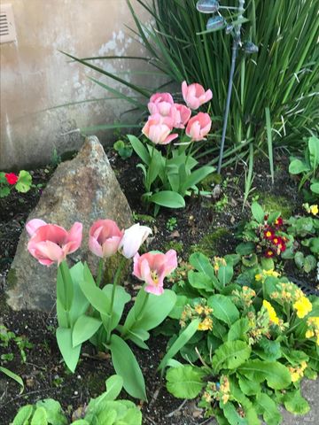 2703 Brush Creek Rd, Santa Rosa, CA 95404