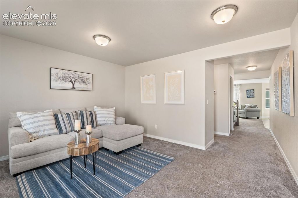 8293 Lodge Grass Way, Colorado Springs, CO 80908 — photo 3