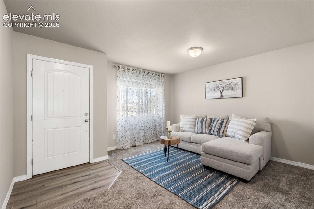 8293 Lodge Grass Way, Colorado Springs, CO 80908 — photo 4