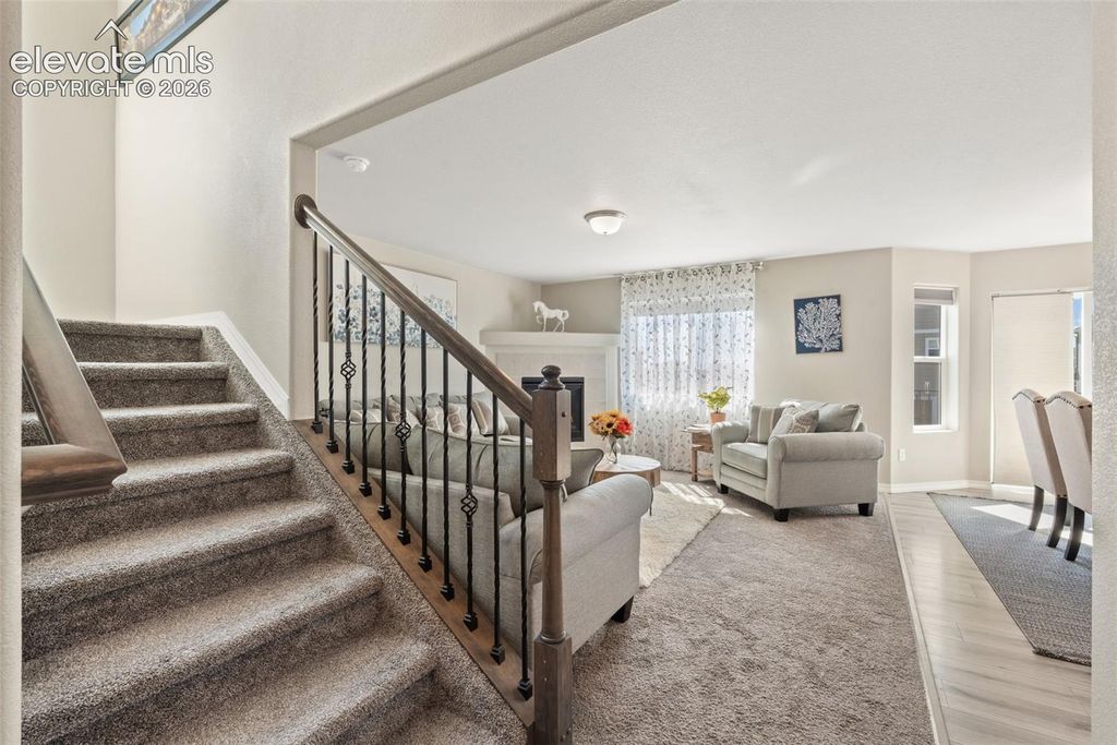 8293 Lodge Grass Way, Colorado Springs, CO 80908 — photo 5