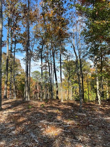 Lot 292 Creekside Crossing, Talking Rock, GA 30175