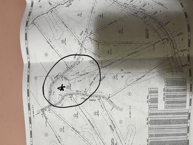 Lot 292 Creekside Crossing, Talking Rock, GA 30175