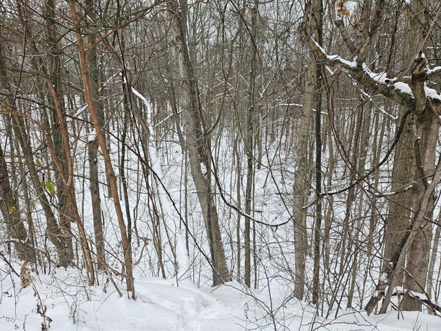 14th Avenue Parcel A, South Haven, MI 49090