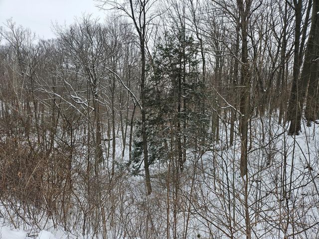 14th Avenue Parcel A, South Haven, MI 49090